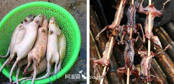 最正宗的非洲美食,非洲好吃的美食合集