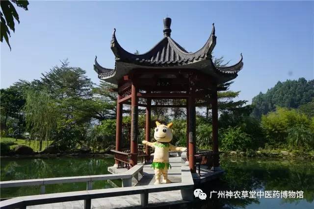 大便为什么会粘马桶,大便为什么会粘厕所