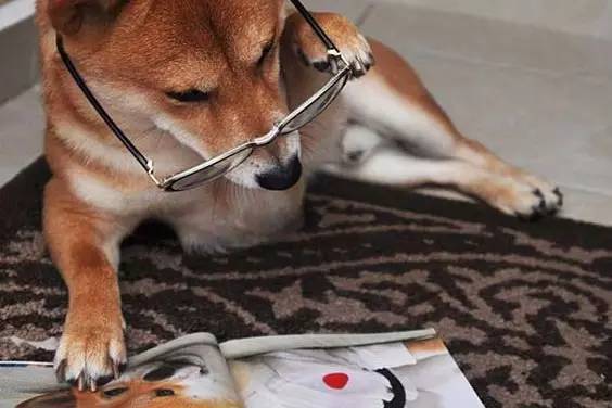 你以为的中产阶级,什么条件才可以成为中产阶级