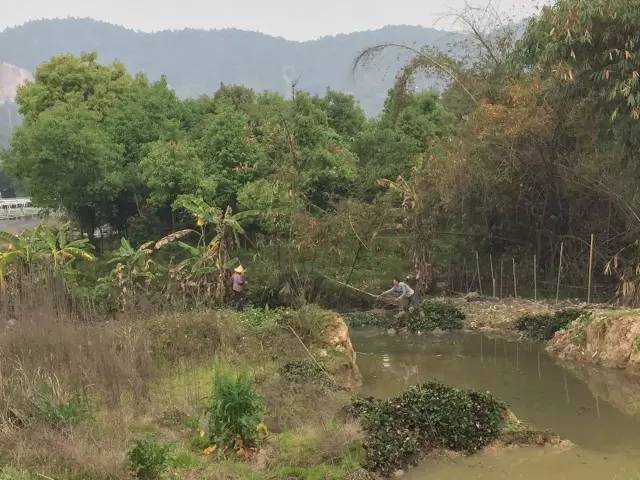 「区县头条」福清:未来五年,福清将有这么多变化,你期待吗?