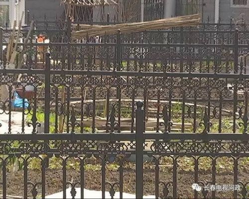 长春好景山庄小区、净月新园小区居民圈地种蔬菜最多将被罚三万