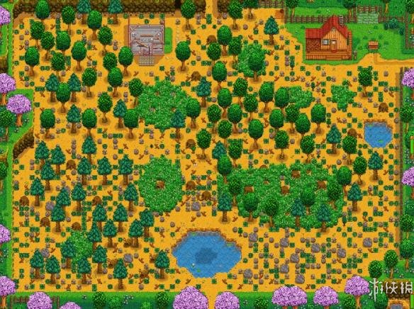 星露谷物语农场废墟有什么用,星露谷物语四角农场如何布局