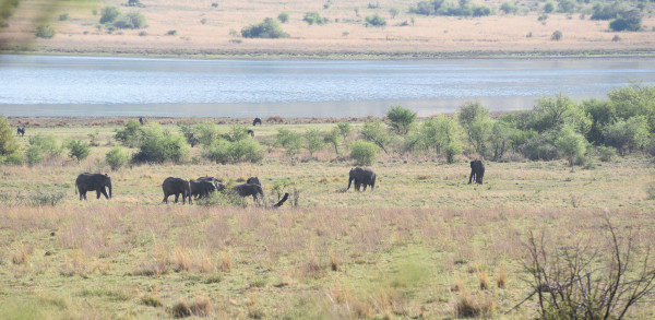 彩虹国家南非,彩虹国度南非之旅