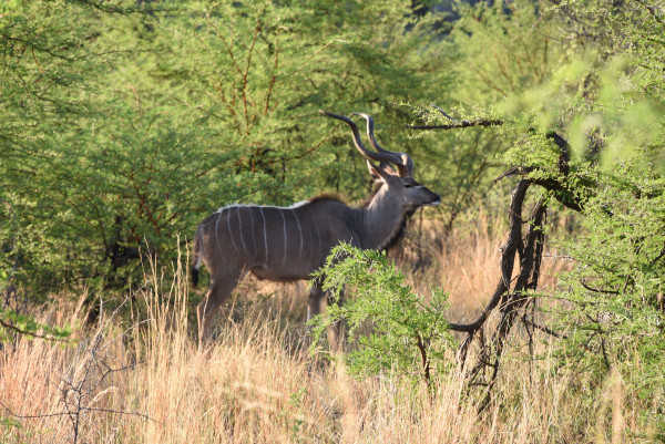 彩虹国家南非,彩虹国度南非之旅