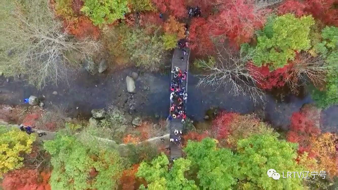 助你一飞冲天｜辽宁号无人机俱乐部招募会员了
