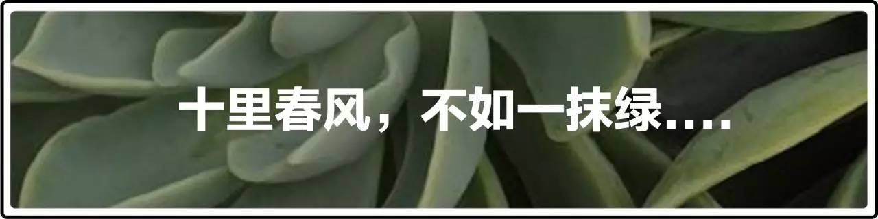 钻石卖不动怎么办,钻石越来越卖不动了