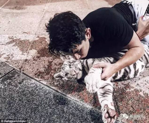 文莱王子宠老虎的画面好苏！各国高质量王子，哪个是你的菜？