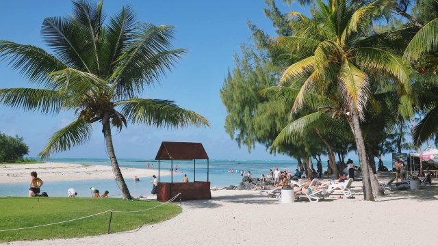 蔚蓝色的毛球-毛里求斯行记