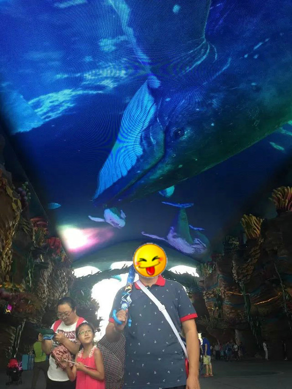 珠海长隆海洋王国攻略2天亲子游,珠海长隆海洋王国旅游亲子攻略