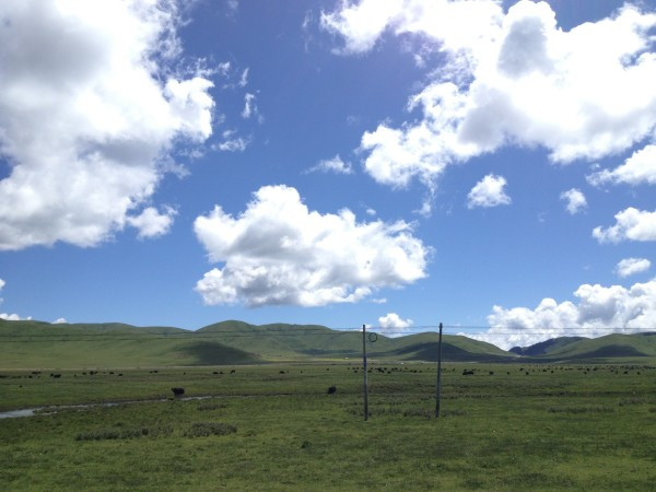 若尔盖红原九寨沟六日游,九寨沟黄龙若尔盖大草原自助游