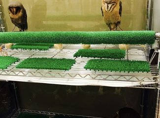 日本九州及韩国游（福冈，熊本，黑川温泉，大阪，首尔）大年初一，让我们开始一场做好准备的旅行！