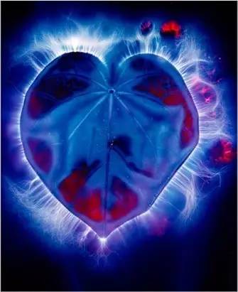 神秘光波的另类治疗法｜克里安摄影术