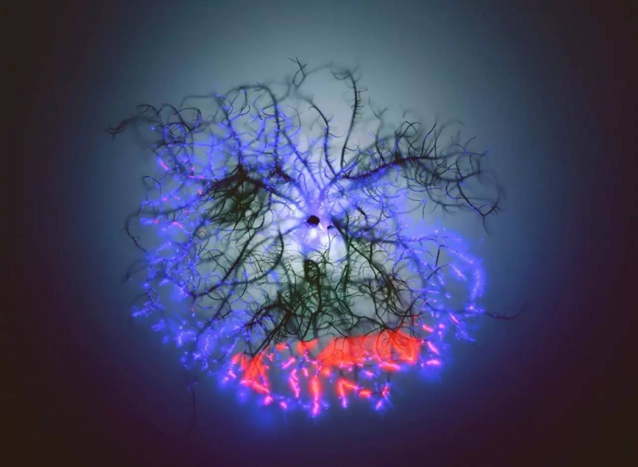 神秘光波的另类治疗法｜克里安摄影术