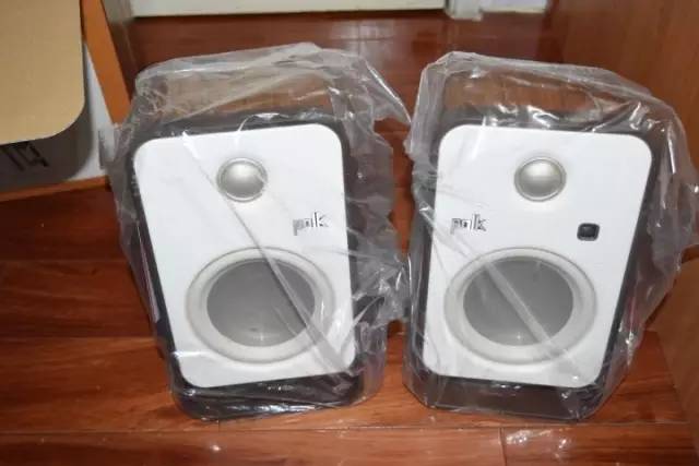 大功率高音质扩音音箱测评,音色重的电子管音箱测评