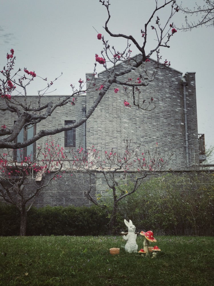 人间四月芳菲尽剪辑,人间四月芳菲尽风光摄影