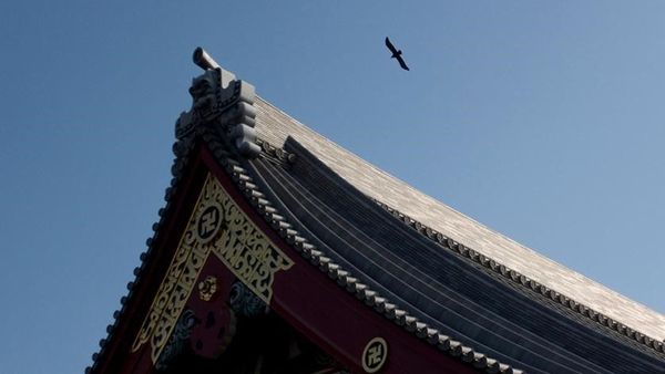 索尼黑卡rx100拍夜景,索尼rx100黑卡一代拍风景