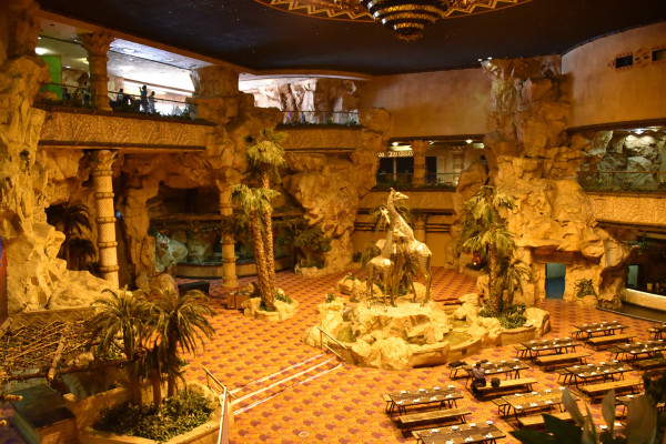 彩虹国家南非,彩虹国度南非之旅