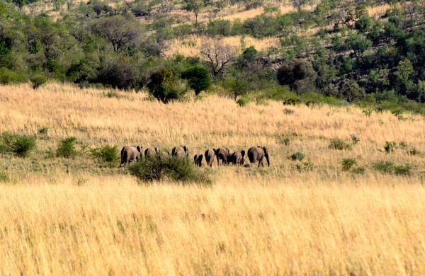 彩虹国家南非,彩虹国度南非之旅
