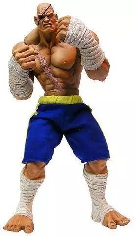 fc小霸王的故事,fc小霸王进阶秘诀