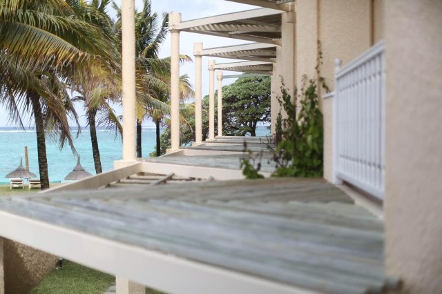 蔚蓝色的毛球-毛里求斯行记