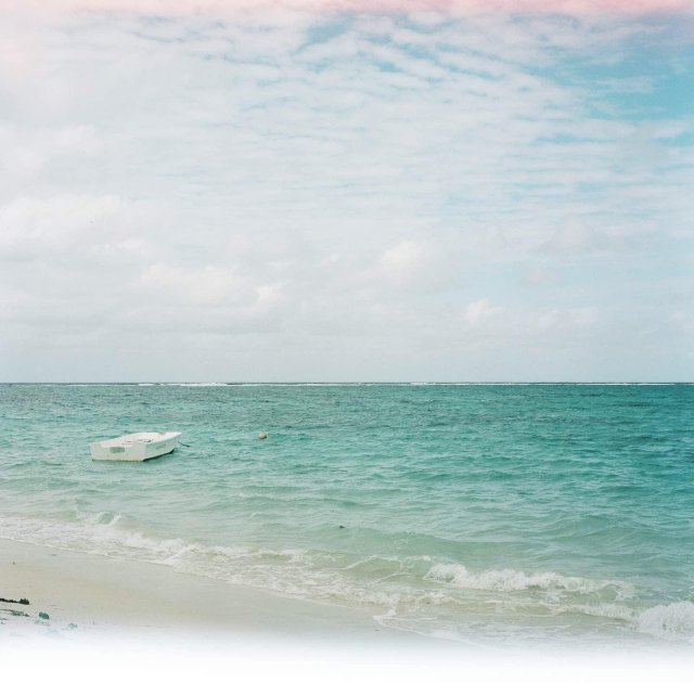 蔚蓝色的毛球-毛里求斯行记