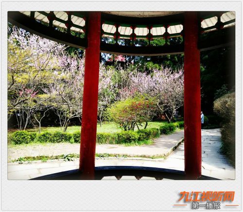 人间四月芳菲尽山寺桃花始盛开,人间四月芳山寺桃花始盛开