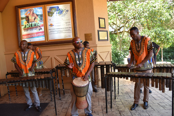 彩虹国家南非,彩虹国度南非之旅