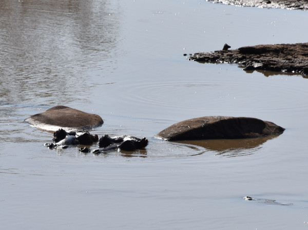 彩虹国家南非,彩虹国度南非之旅