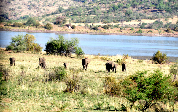 彩虹国家南非,彩虹国度南非之旅