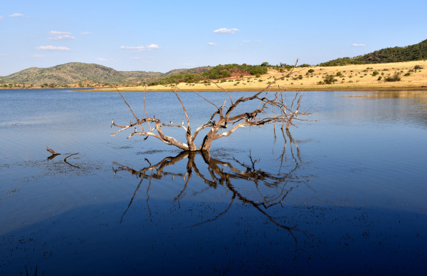 彩虹国家南非,彩虹国度南非之旅