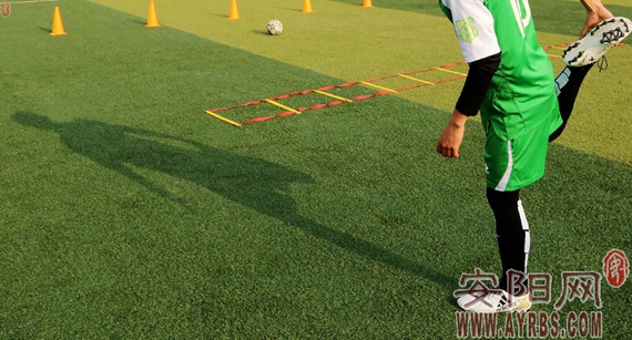 足球小子踢球,足球少年逐梦绿茵场