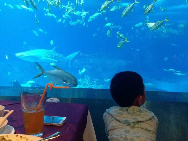 珠海长隆海洋王国攻略2天亲子游,珠海长隆海洋王国旅游亲子攻略