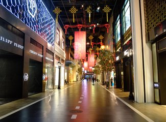 与日本冬天不期而遇,与日本冬天不期而遇后续