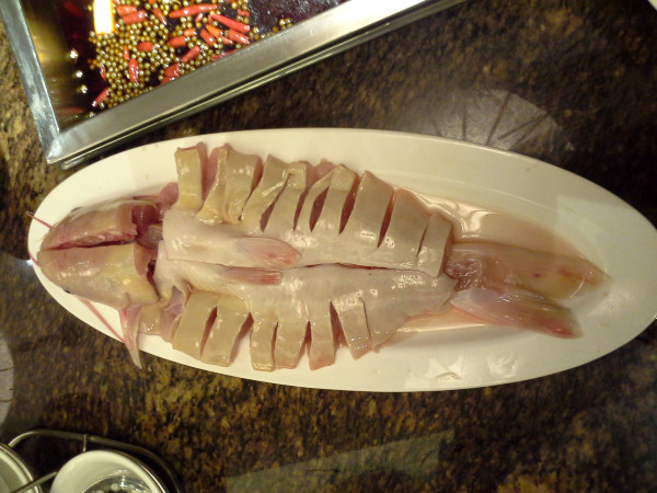 2013.12.27—2014.1.1峨眉、乐山、成都、广汉、都江堰六日暴走游记(下)