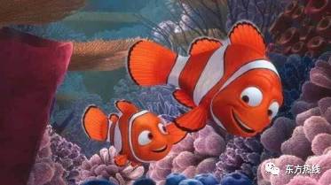 宁波这个城市适合定居吗,宁波适合定居生活吗