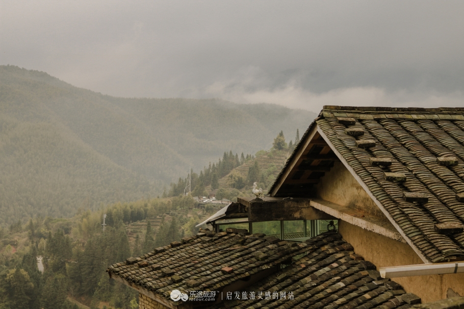 约定今生来世，我会等你——大鱼海棠