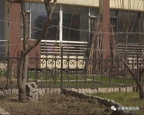 长春好景山庄小区、净月新园小区居民圈地种蔬菜最多将被罚三万