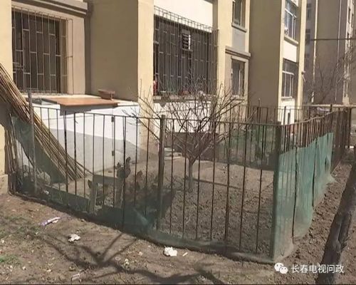 长春好景山庄小区、净月新园小区居民圈地种蔬菜最多将被罚三万