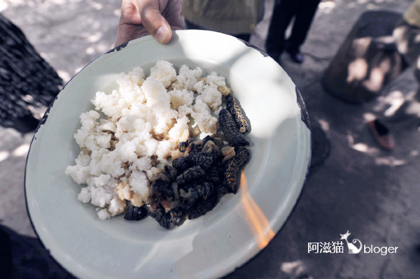 最正宗的非洲美食,非洲好吃的美食合集