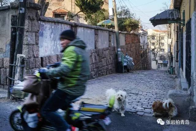 青岛照片相册,青岛金口张岩照片
