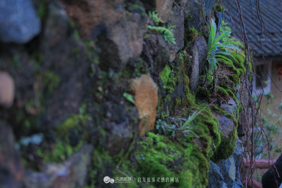 约定今生来世，我会等你——大鱼海棠