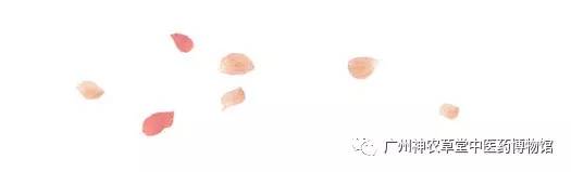 大便为什么会粘马桶,大便为什么会粘厕所