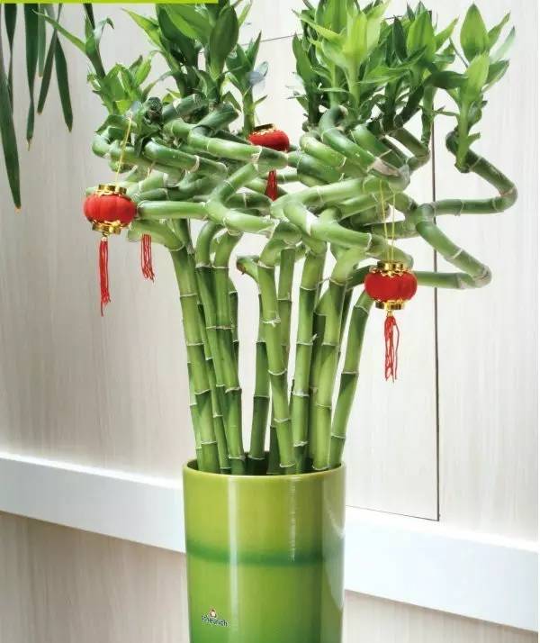 千万注意这几种东西会被惹麻烦,注意这些东西千万别带回国