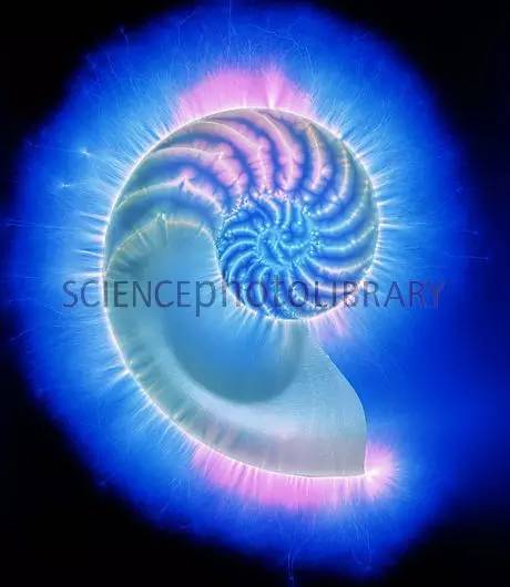 神秘光波的另类治疗法｜克里安摄影术