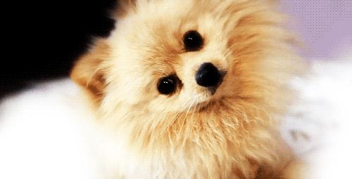 宝鸡的特色有哪些,宝鸡的特色都有什么