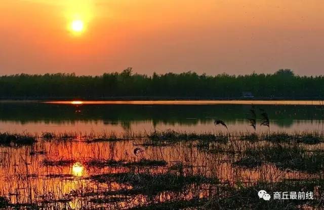 我叫商丘，这是我的最新简历，请多关照！