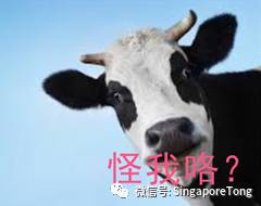 坡岛父母哭了：奶粉4年涨价40%，比大马贵2倍！