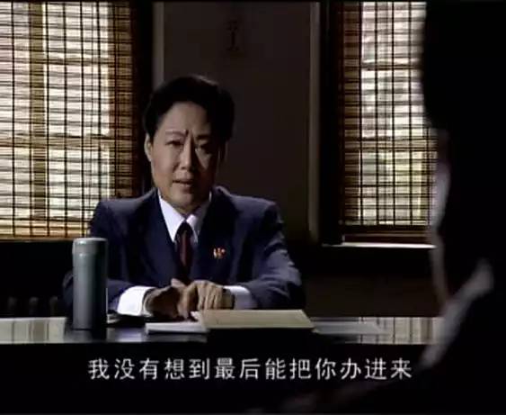 100部反腐电视剧人民的名义,人民的名义最好看的反腐电影