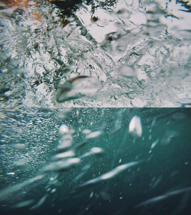 蔚蓝色的毛球-毛里求斯行记