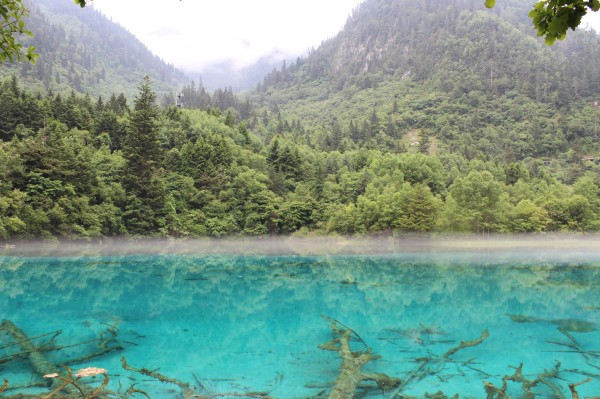 若尔盖红原九寨沟六日游,九寨沟黄龙若尔盖大草原自助游